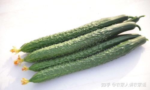 权威少吃瘦的是脂肪吗为什么平台,分享专业少吃瘦下来的是体重还是水分知识_少吃瘦的是脂肪吗网