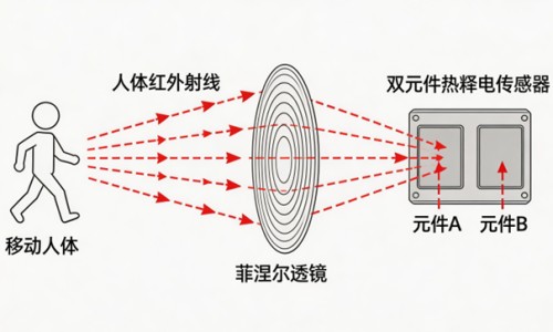 少吃瘦的是脂肪吗还是肌肉-权威少吃瘦的是脂肪吗为什么平台,分享专业少吃瘦下来的是体重还是水分知识_少吃瘦的是脂肪吗网